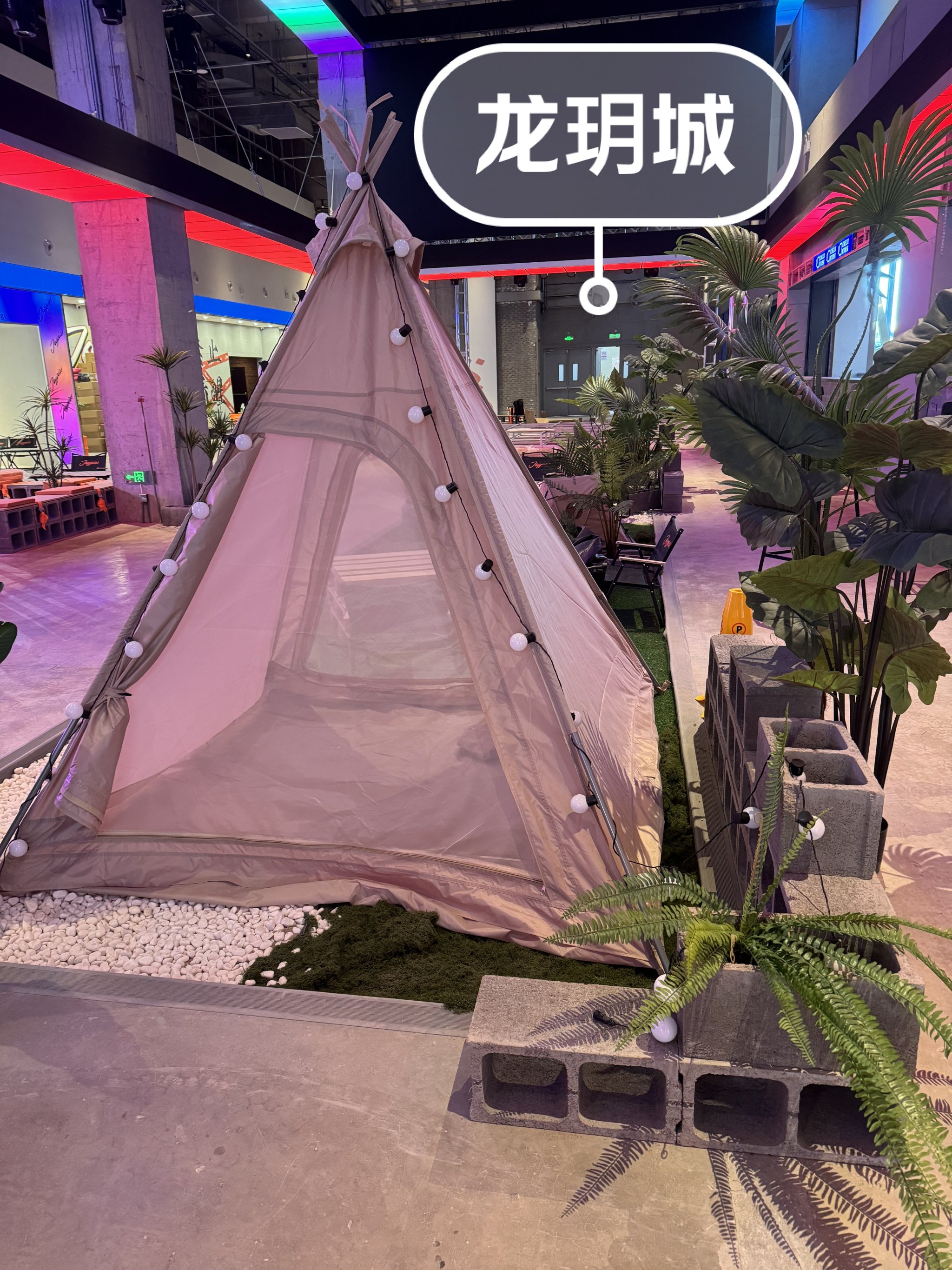 夜夜玩，探索生活的多元乐趣
