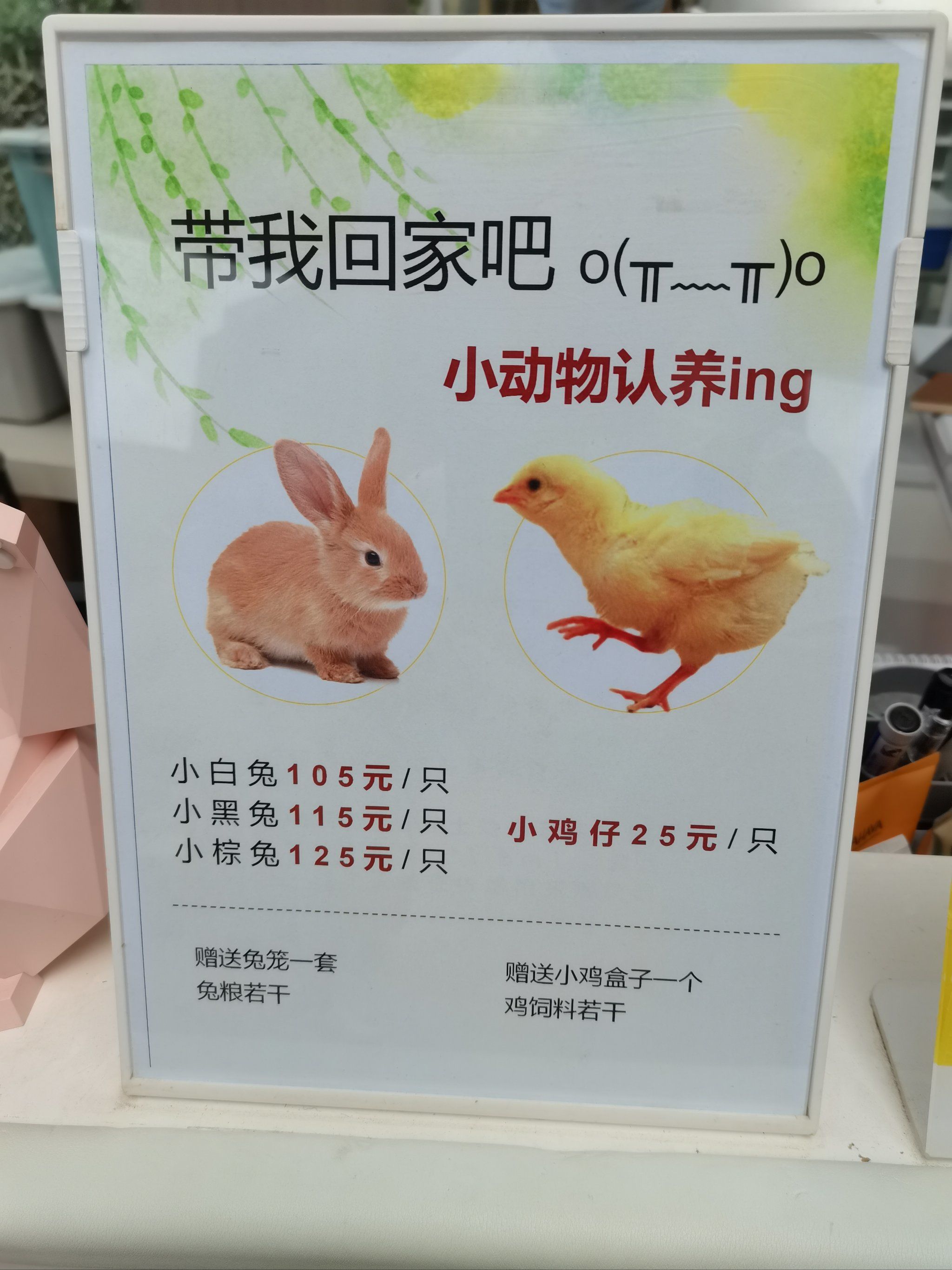 携手共耕，我们的农场生活