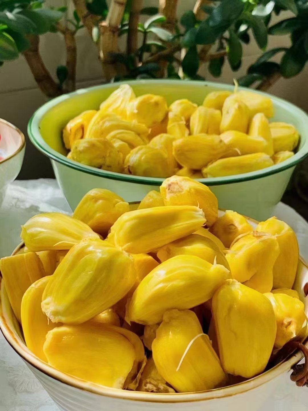 菠萝菠萝蜜高清在线视频直播菠萝菠萝蜜，免费高清在线视频的魅力与体验-第3张图片