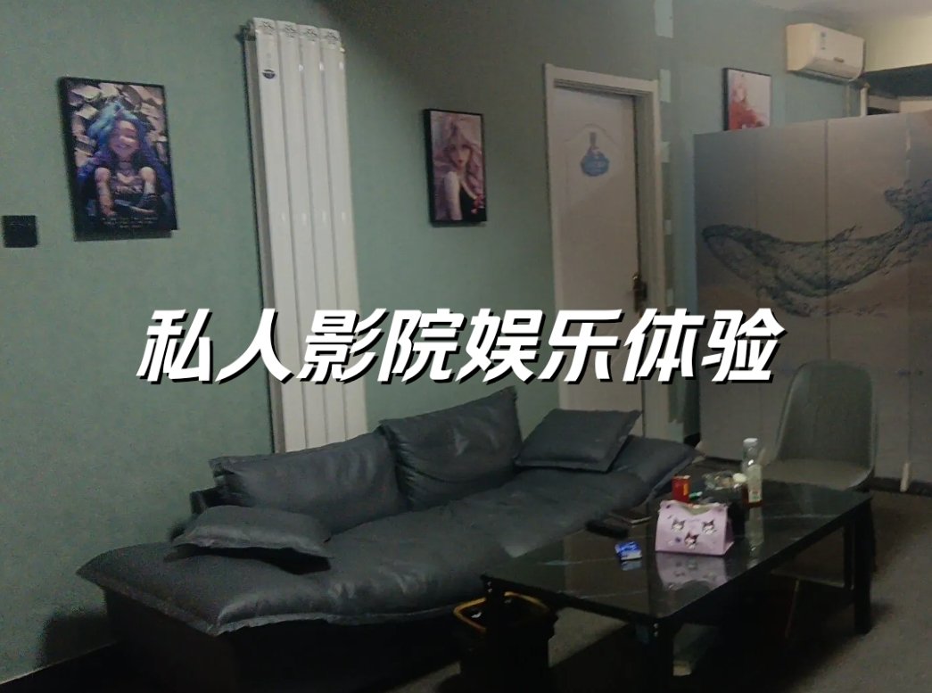私人影院叫啥私人影院的魅力与独特体验