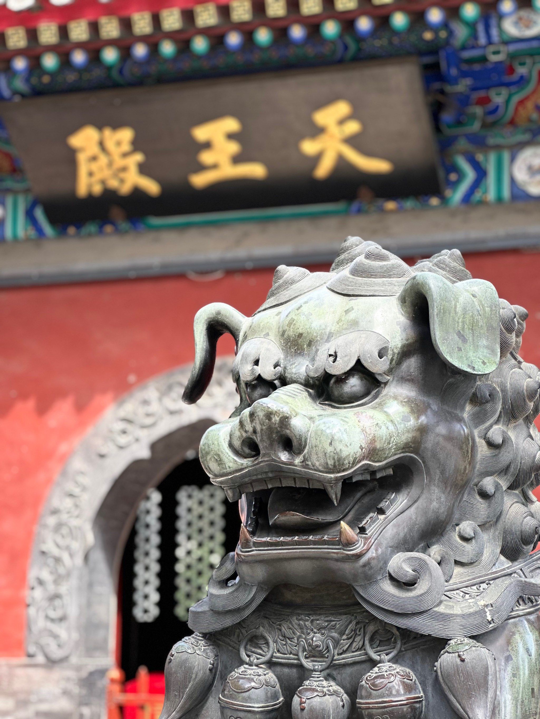 五月丁香盛开，网络世界中的美丽传说——五月网与丁香的故事-第2张图片