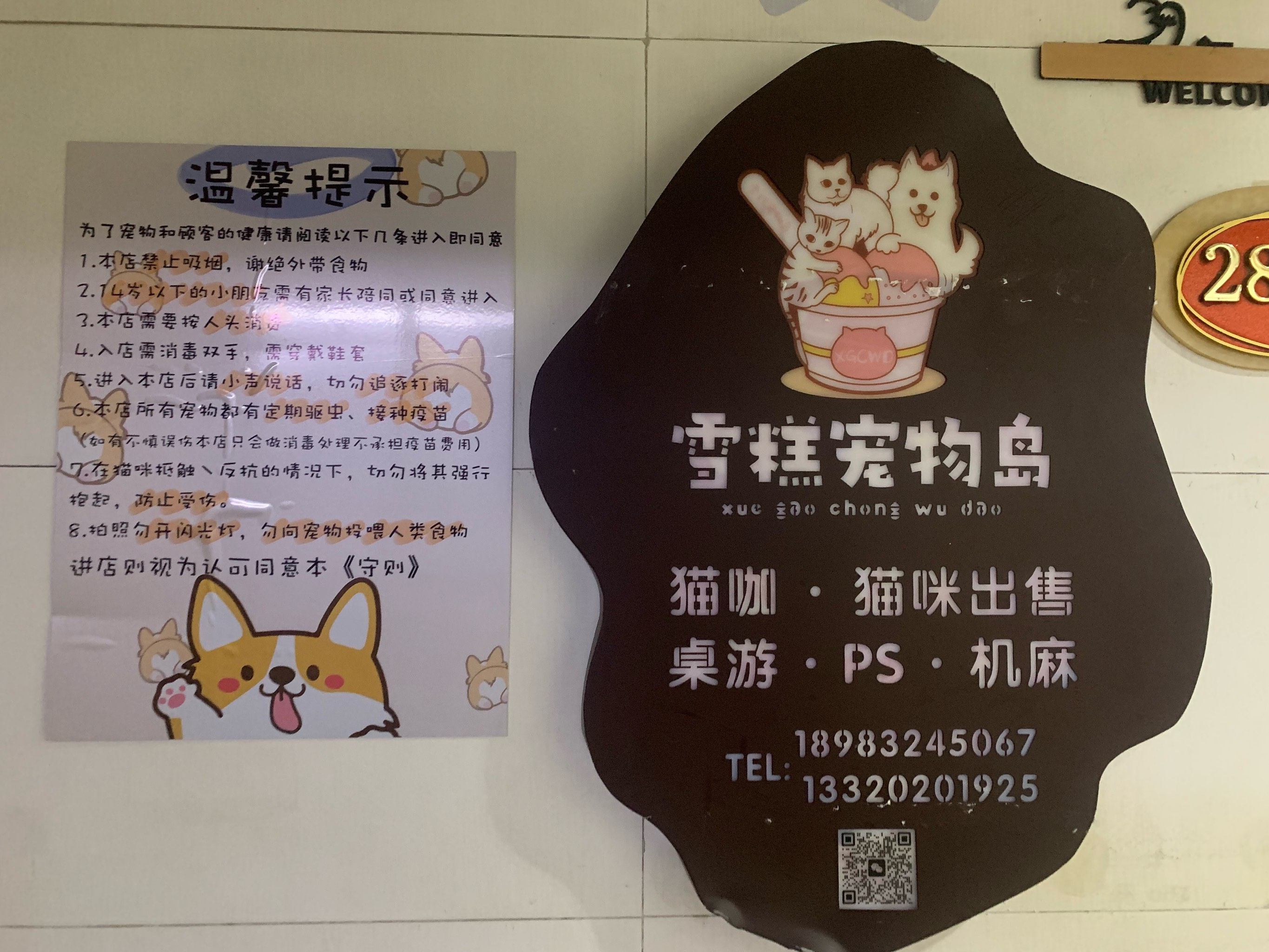 老版猫咪3.0.1，时光的回忆与技术的探索-第2张图片