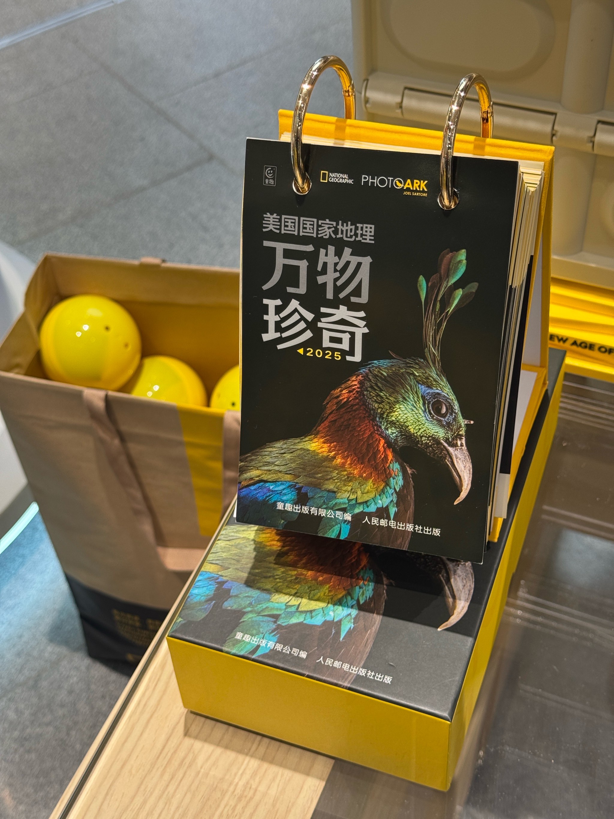 eva扭蛋探索EVA扭蛋的魅力与乐趣-第2张图片