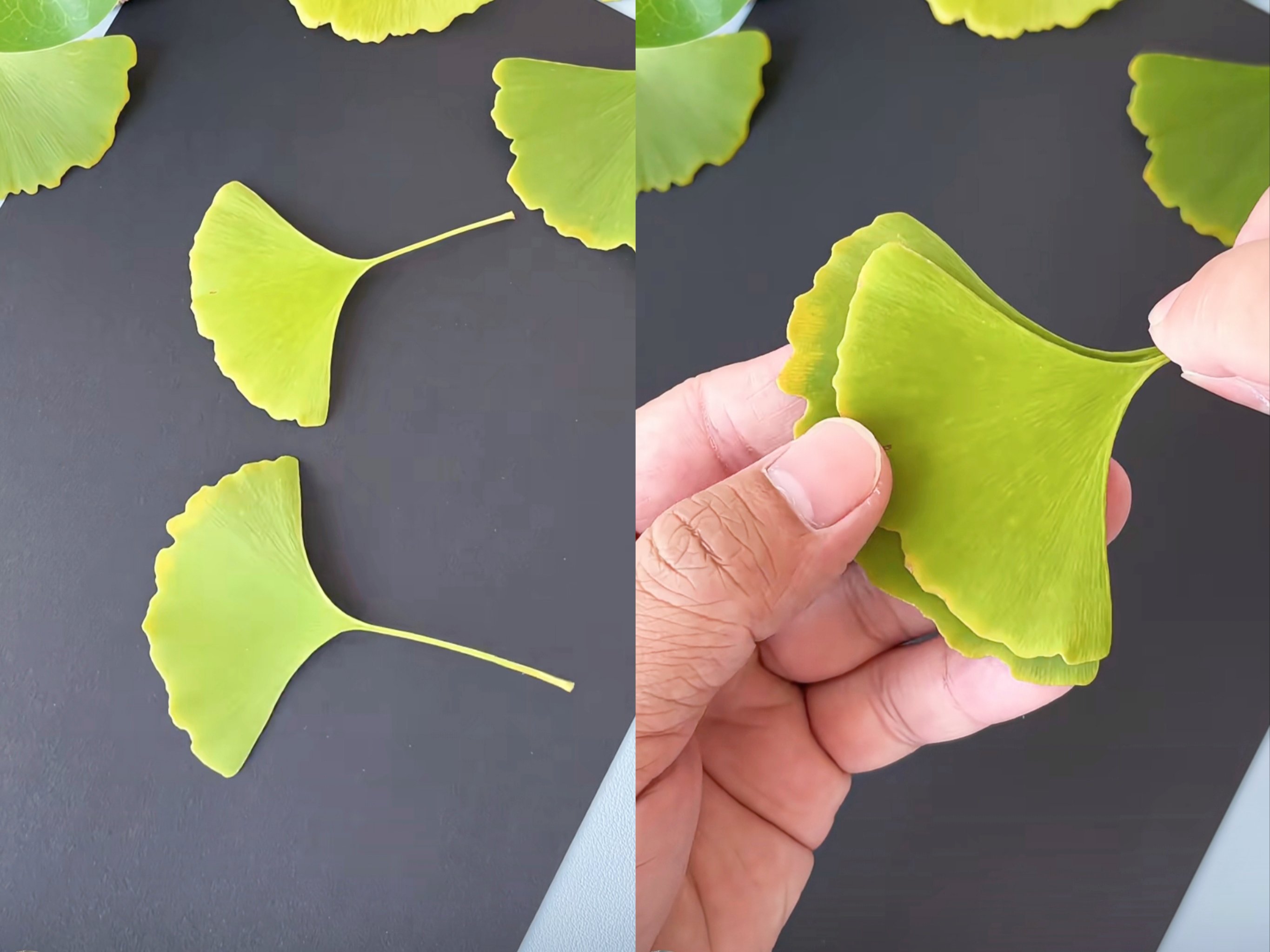花蝴蝶www在线播放花蝴蝶的美丽世界，WWW在线的探索之旅