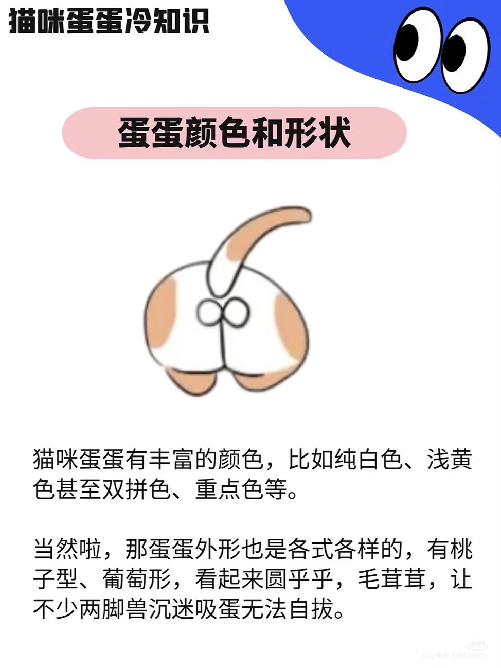 10种玩蛋蛋的方法探索多彩世界，10种玩蛋蛋的方法-第2张图片