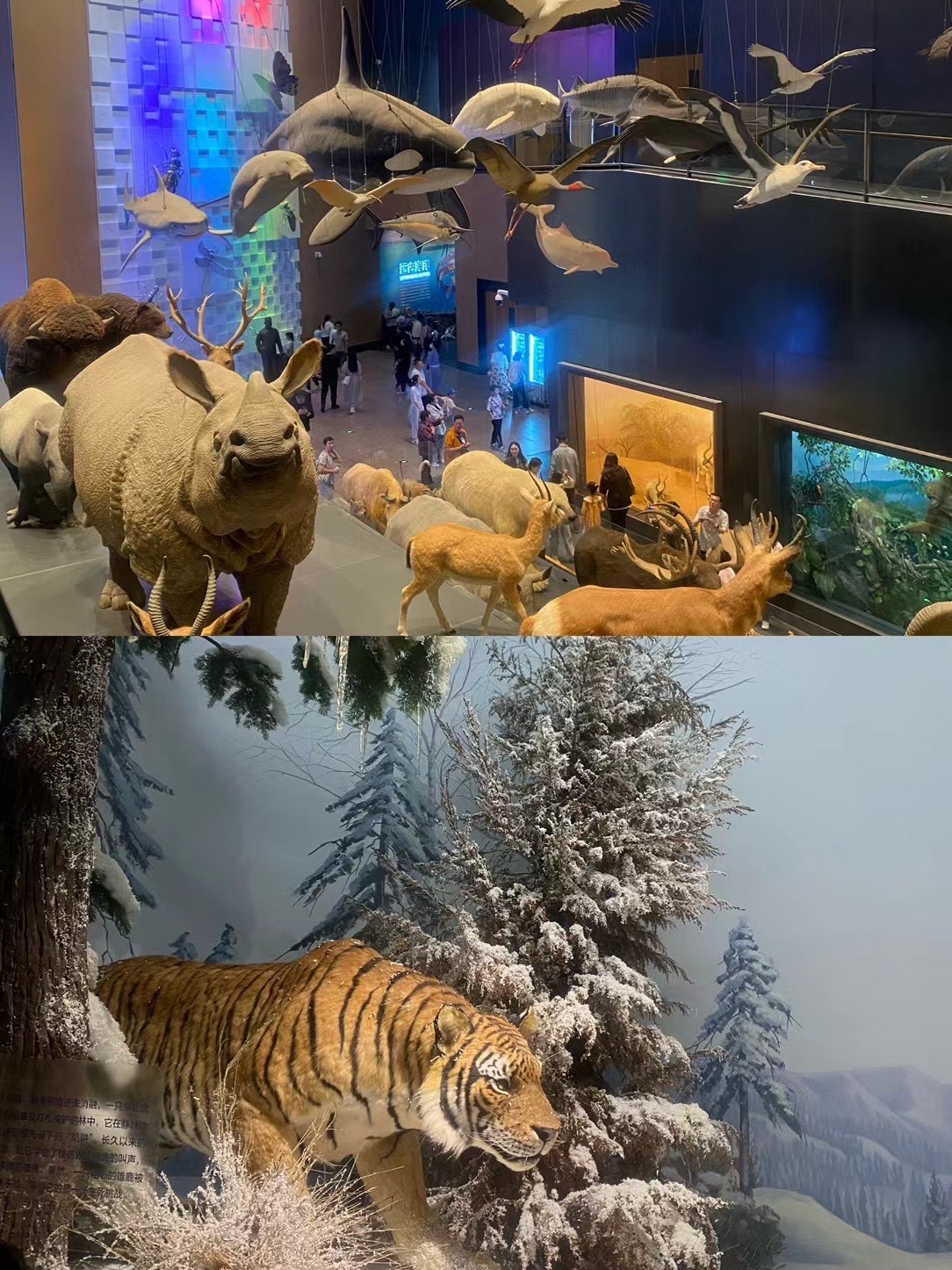 多多影院多多影院，探索电影艺术的乐园