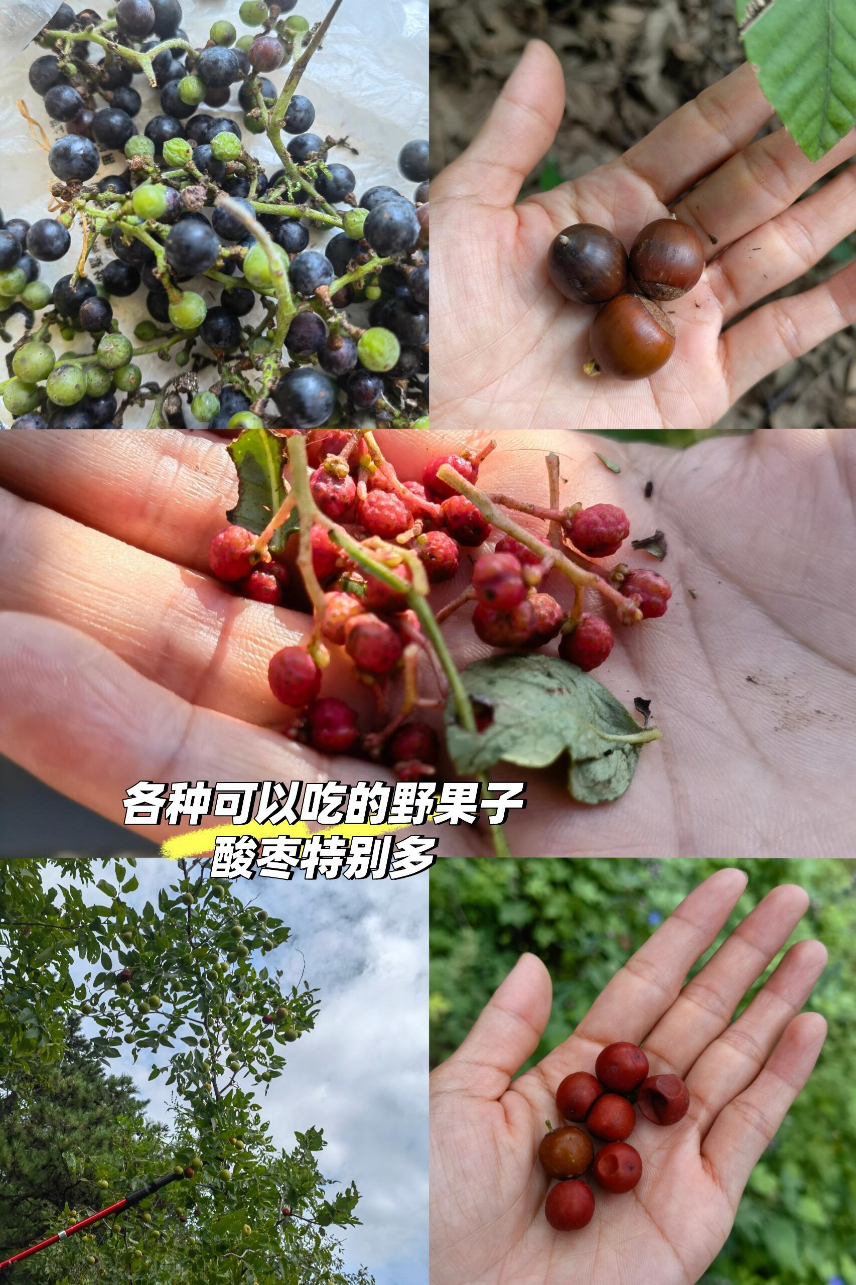 大蘑菇进入子宫的10个原因大蘑菇进入子宫的10个原因，不可思议的医学与自然之谜