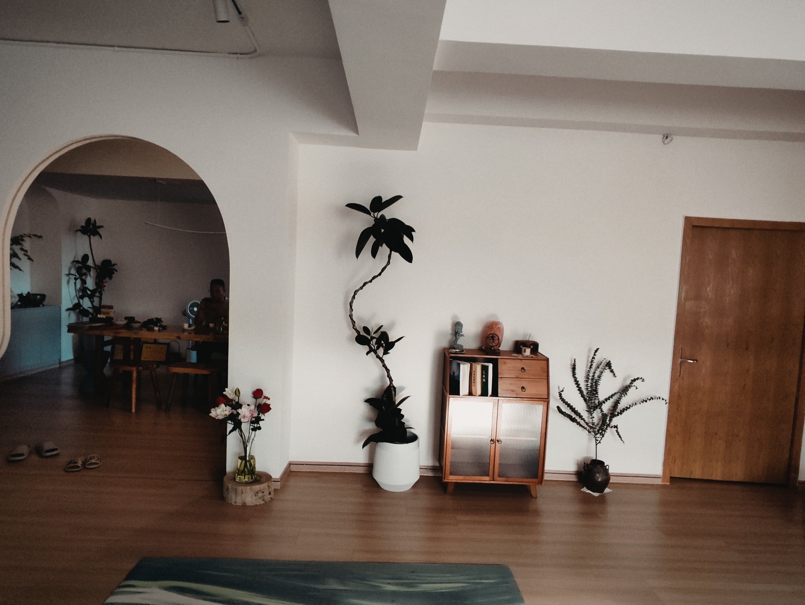 瑜伽房和教练做高清瑜伽房的魅力与教练的精湛技艺——高清体验下的瑜伽之旅-第2张图片