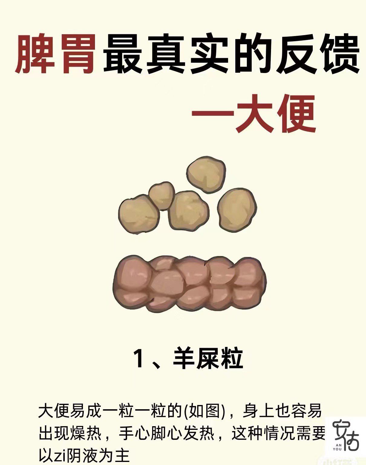 羊的下面和人的是一样的羊的下面与人何其相似-第2张图片