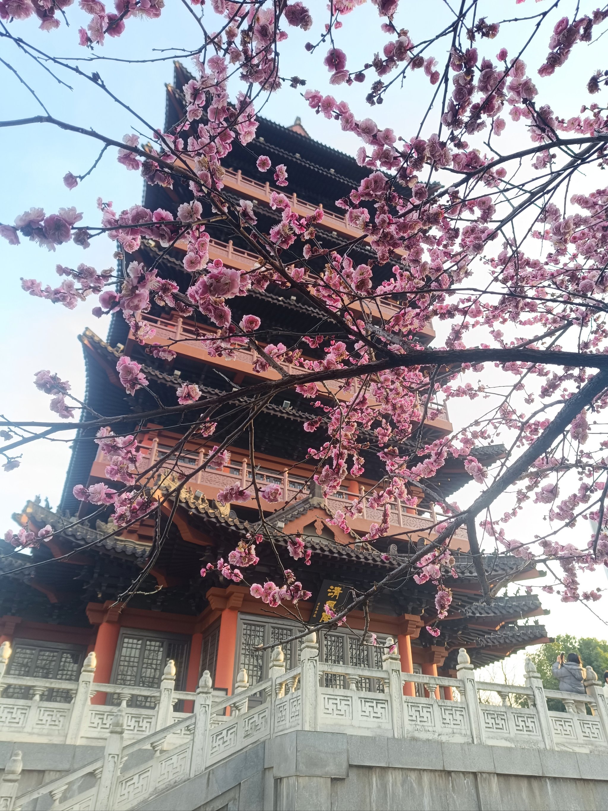 清风阁是什么清风阁的黄色魅力
