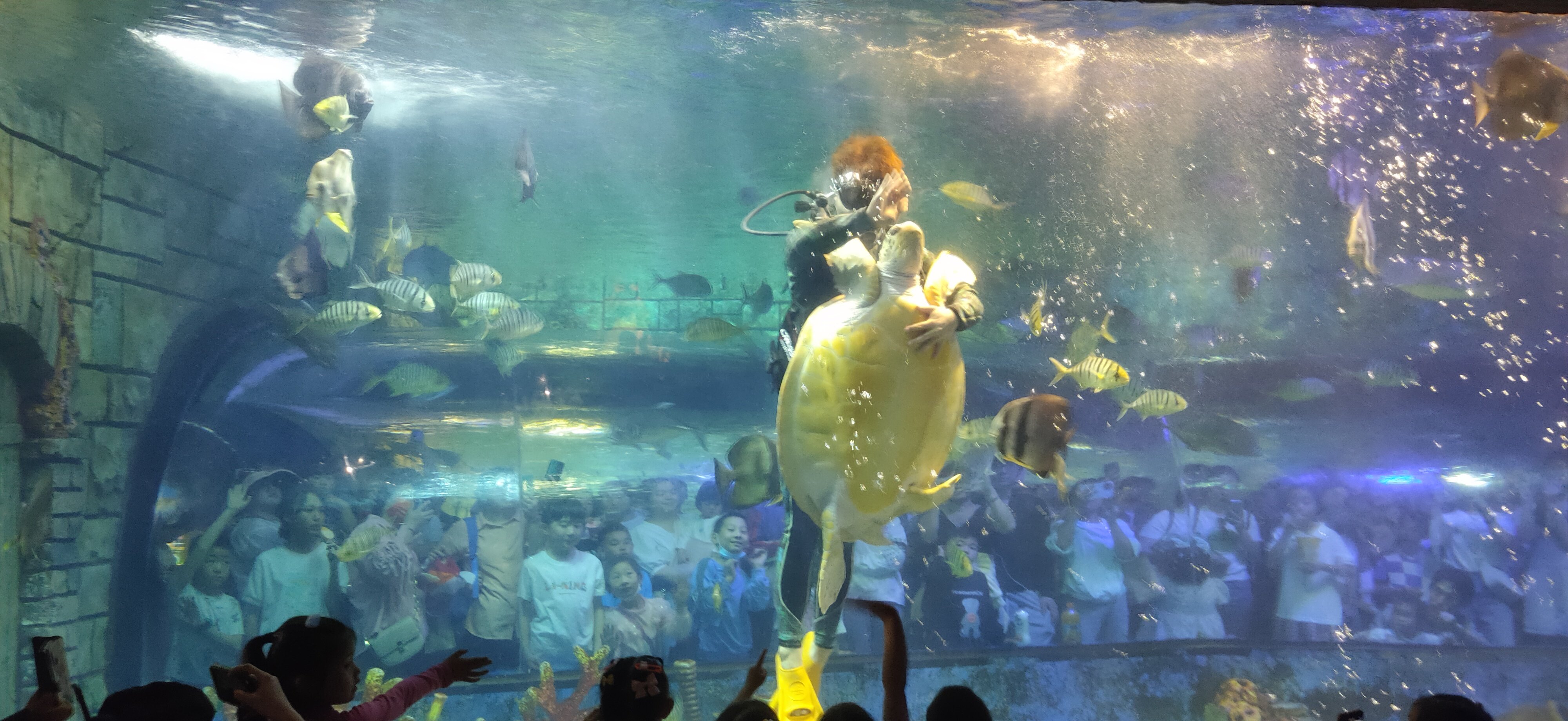 轻松水族馆游戏水族馆游戏，探索海洋的奇妙之旅