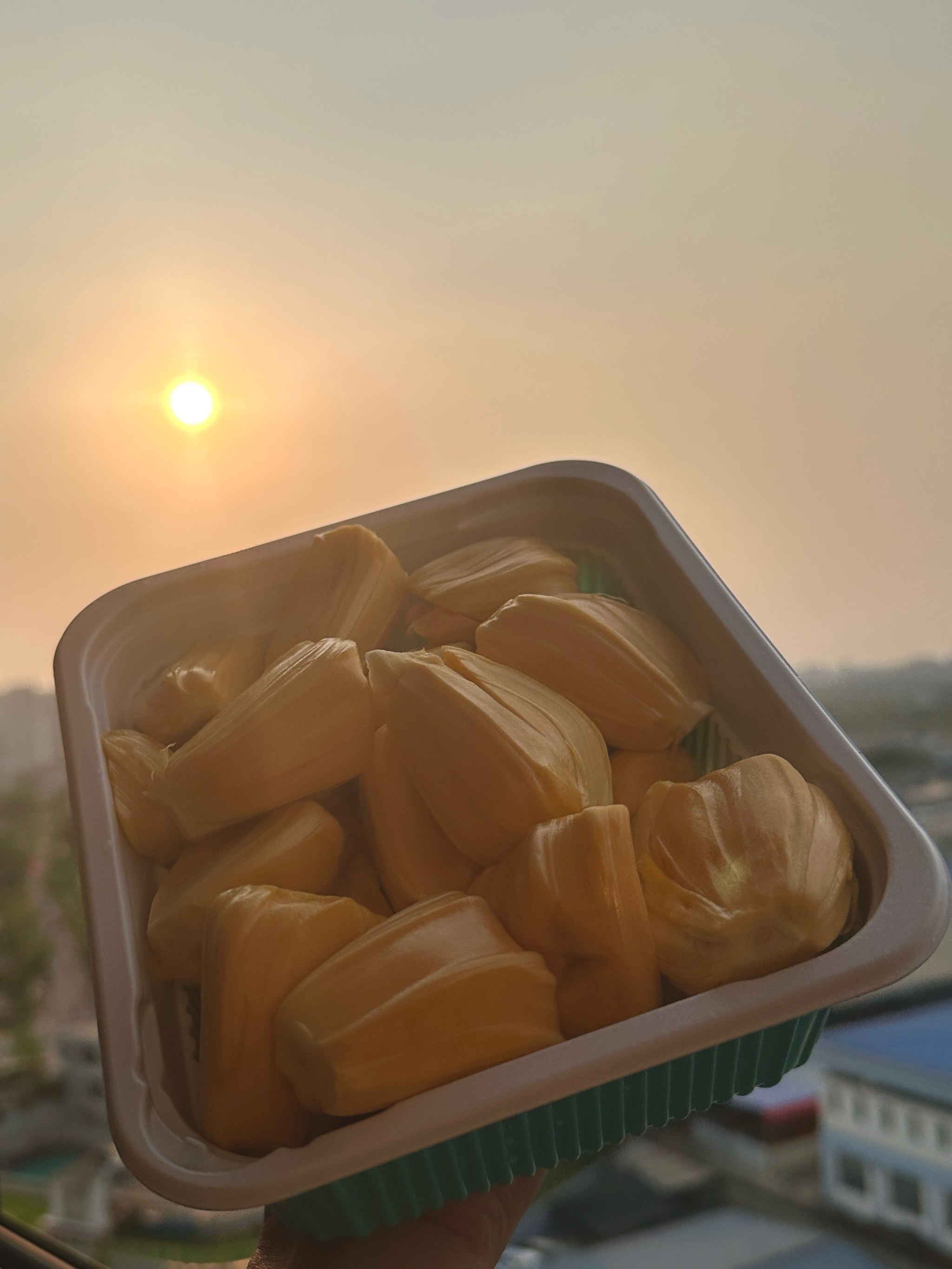 菠萝菠萝蜜高清播放视频免费菠萝菠萝蜜高清播放视频免费，尽享视觉盛宴