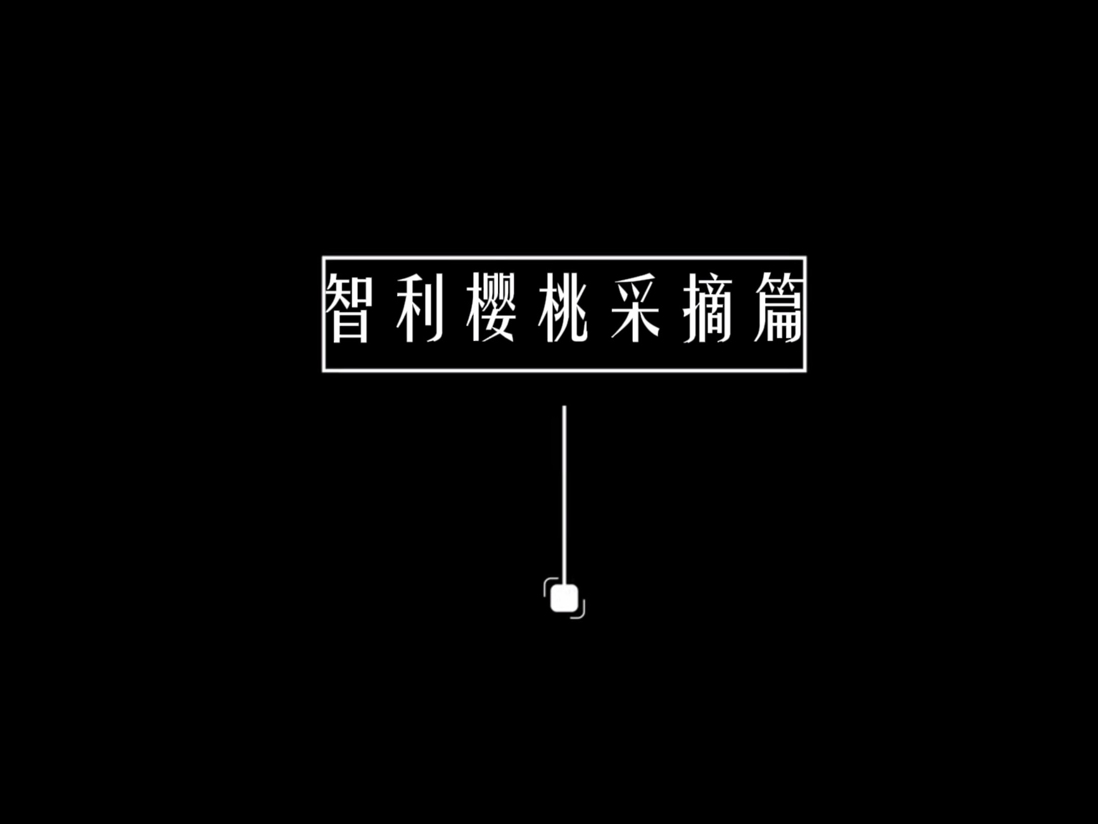 探索多元视频平台，樱桃视频、小蝌蚪视频、榴莲视频与秋葵视频