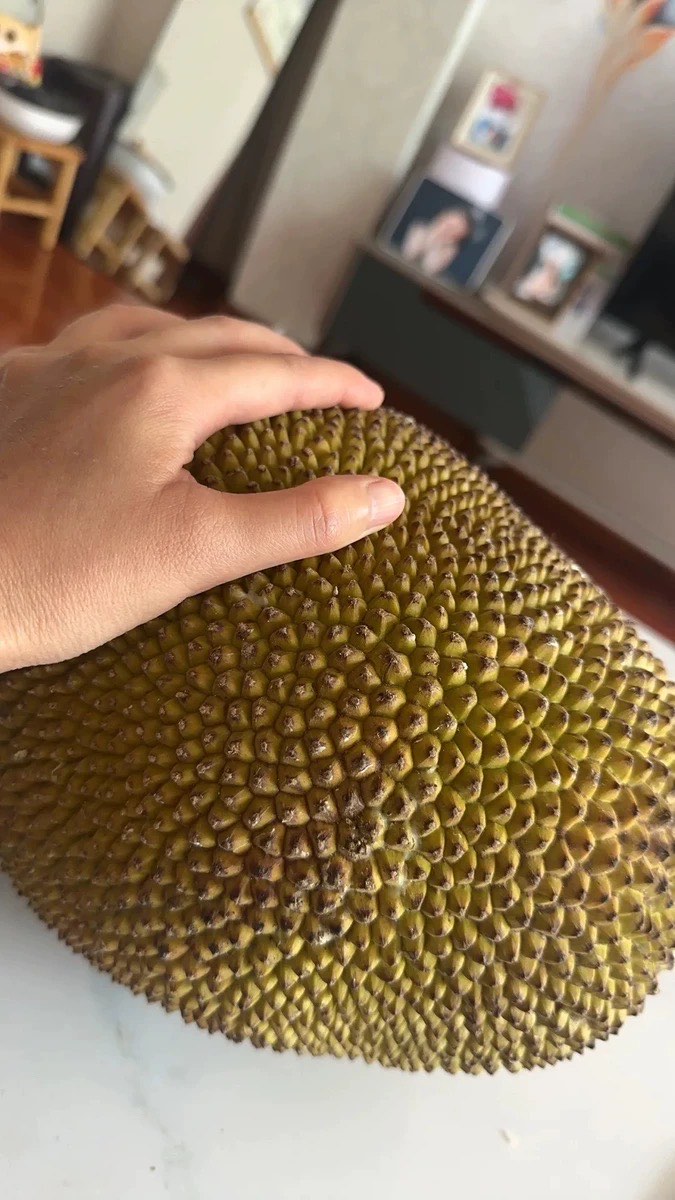 菠萝菠萝蜜高清视频在线观看菠萝菠萝蜜高清视频在线观看的精彩体验-第3张图片