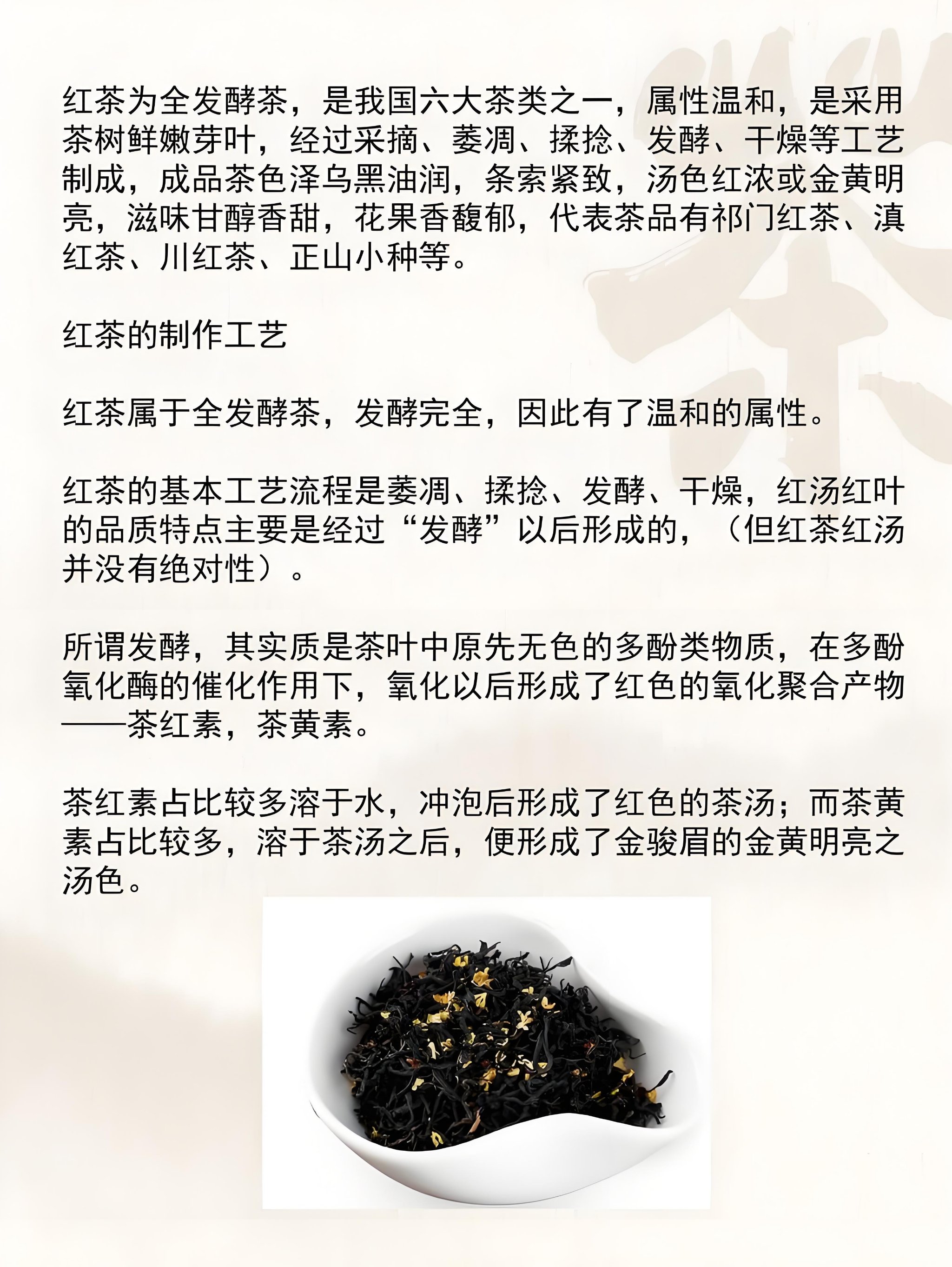 饮茶先啦——品味生活的艺术