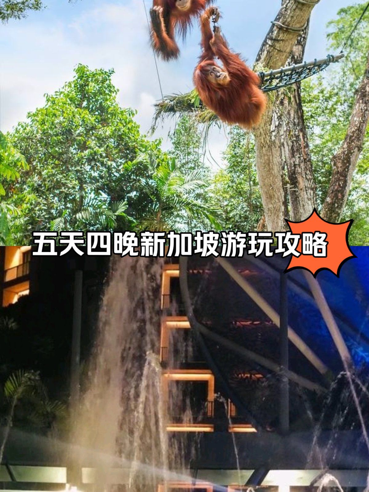 4399神马在线视频免费播放，探索网络视频的无限魅力-第3张图片