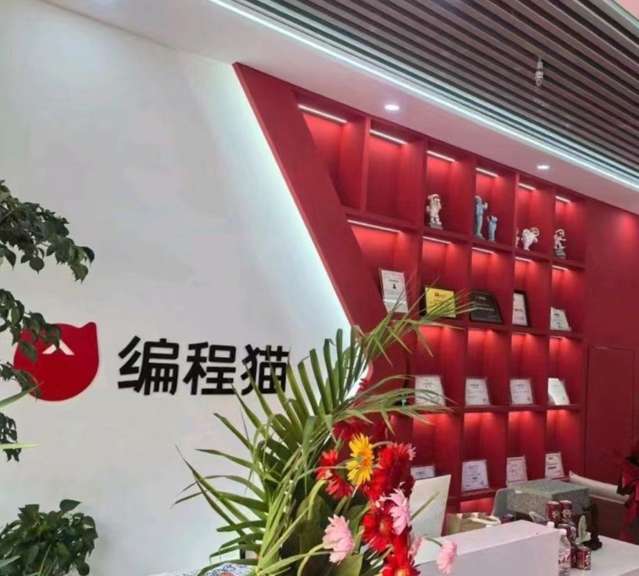 学长指导下的独特学习体验-第1张图片