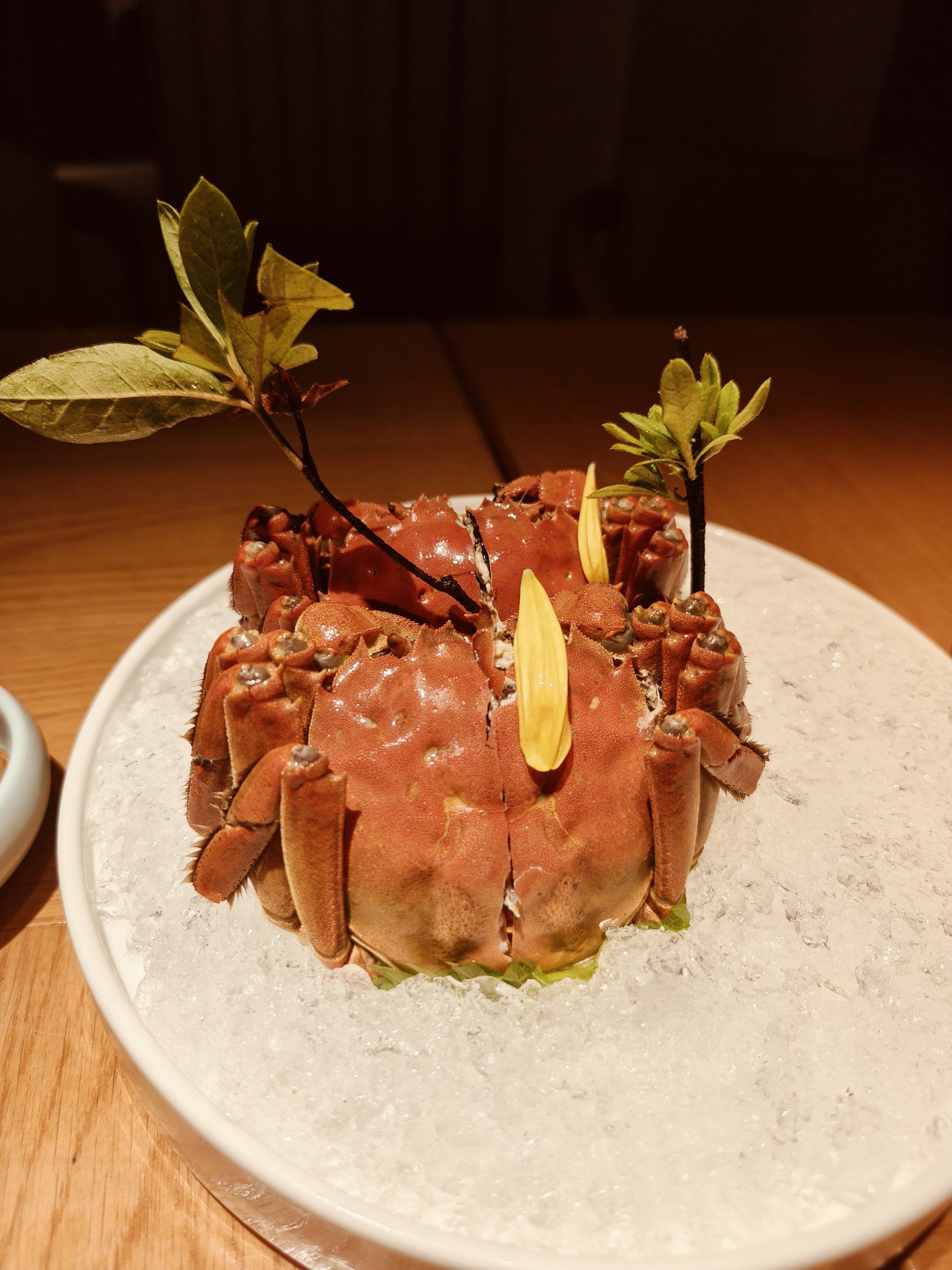 婆文推荐，品味高质量，享受高肉质的美食之旅-第3张图片