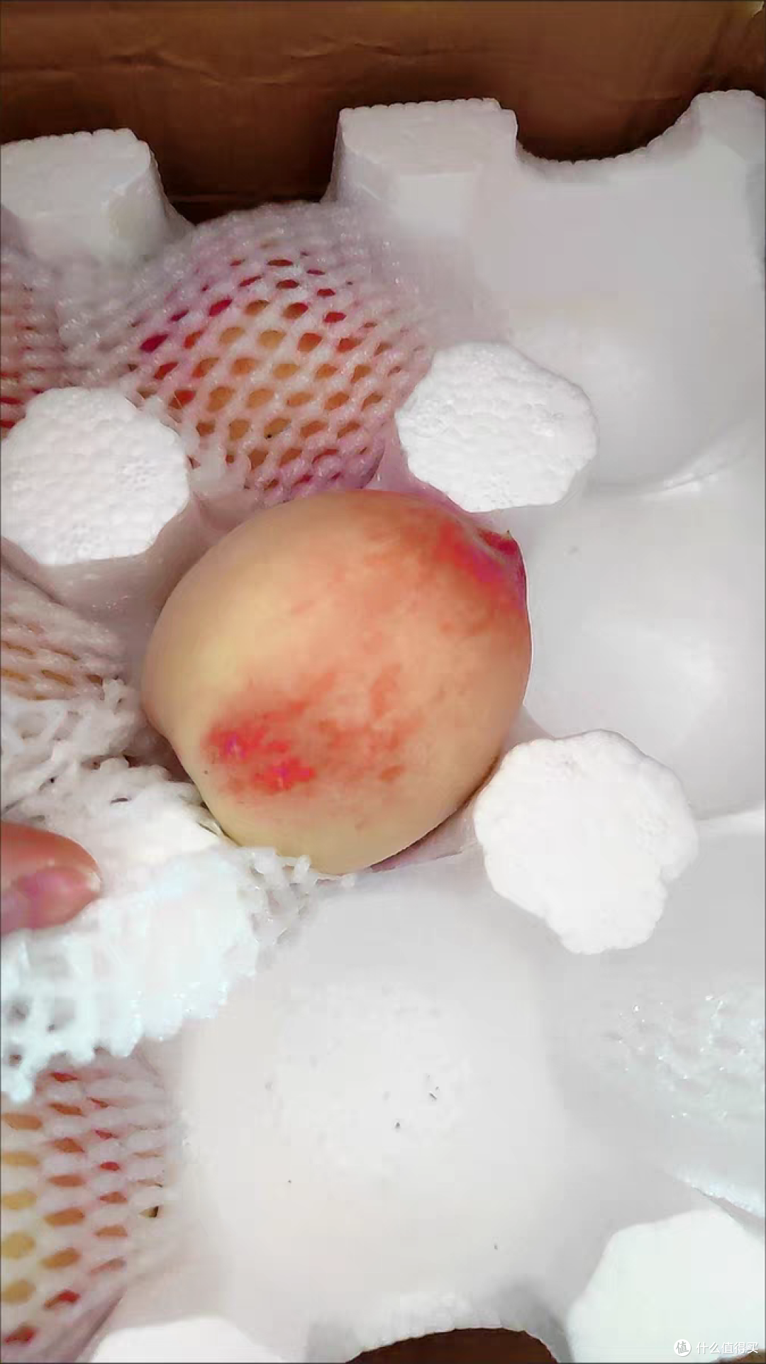 水蜜桃色314的魅力之旅-第3张图片