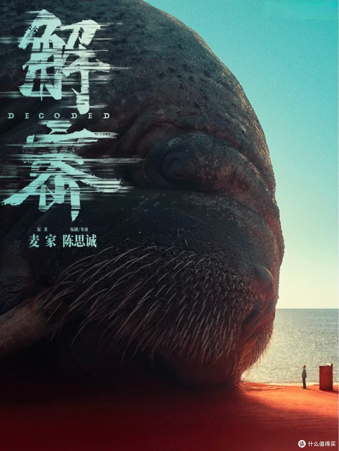 在线观看体验，探索个人观影的数字世界