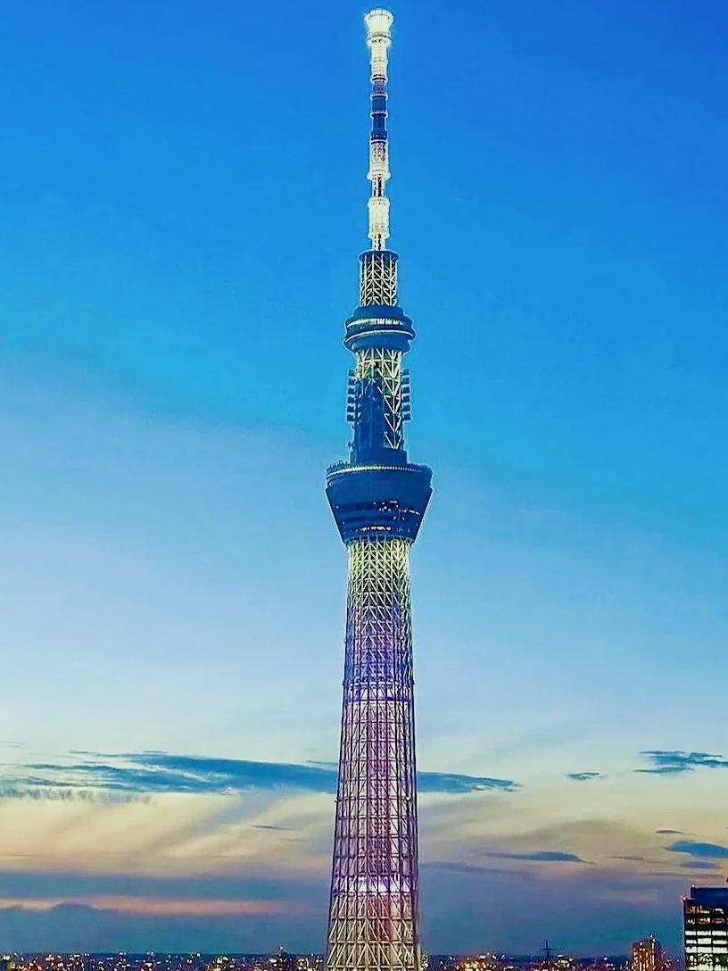 东京hot东京hot，繁华都市的魅力与独特体验