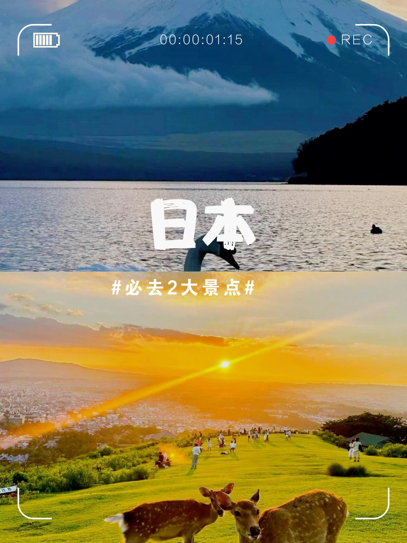 探索Zljzljzlj现象，日本文化中的水之魅力
