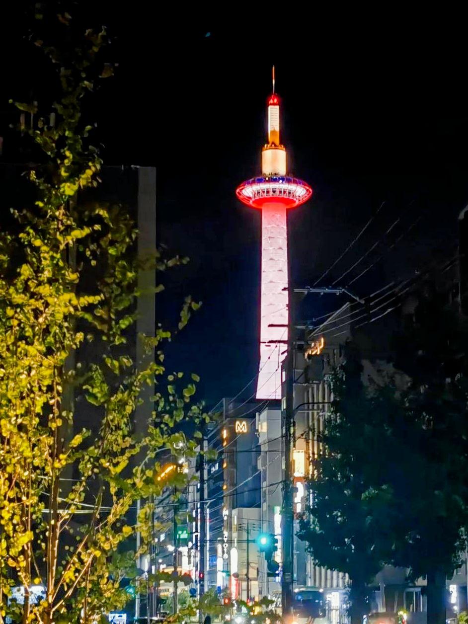 www.jjzz日本探索日本文化魅力——www.jjzz日本之旅-第1张图片