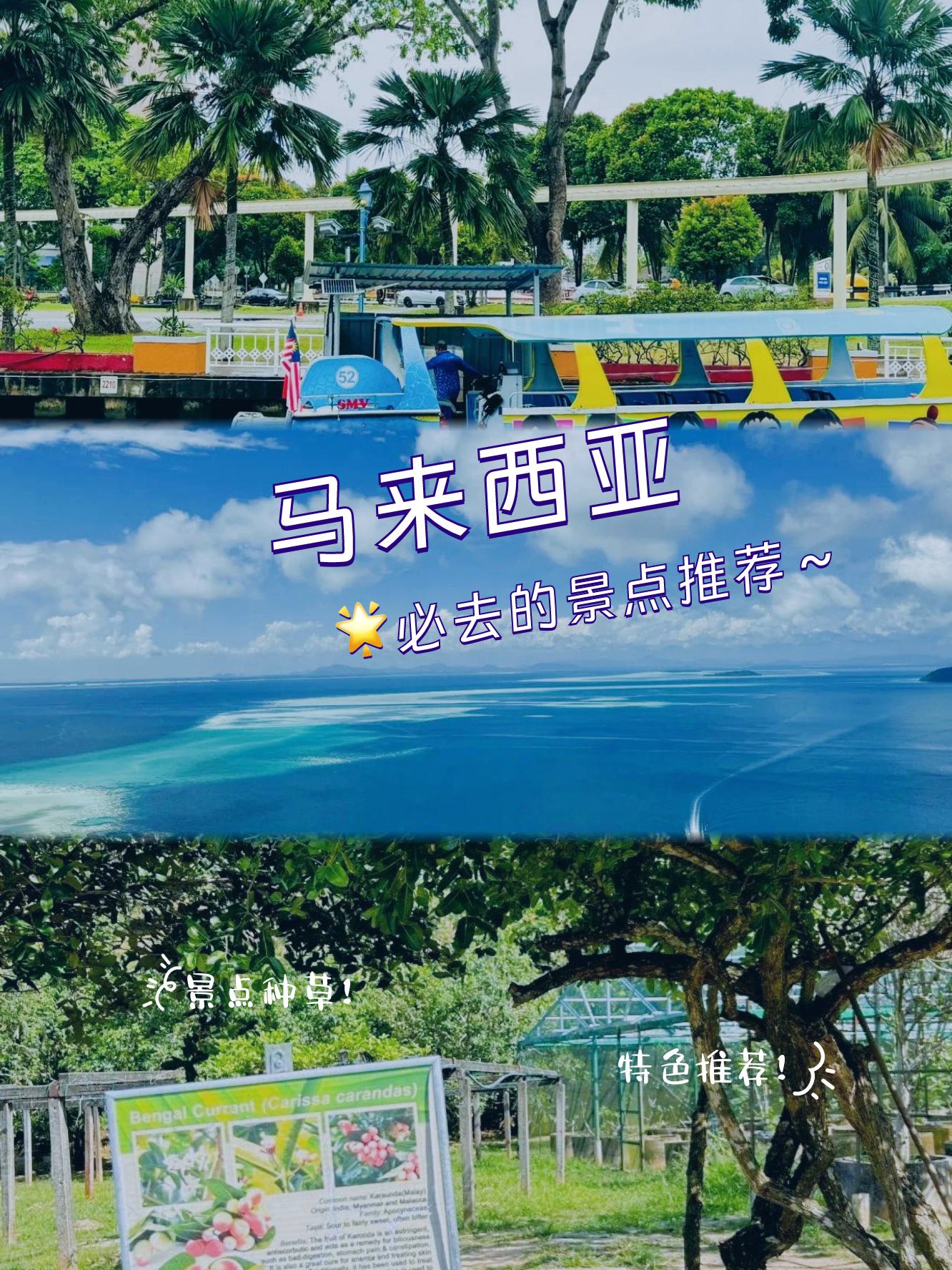 三个重要且独特的亚洲特色-第2张图片