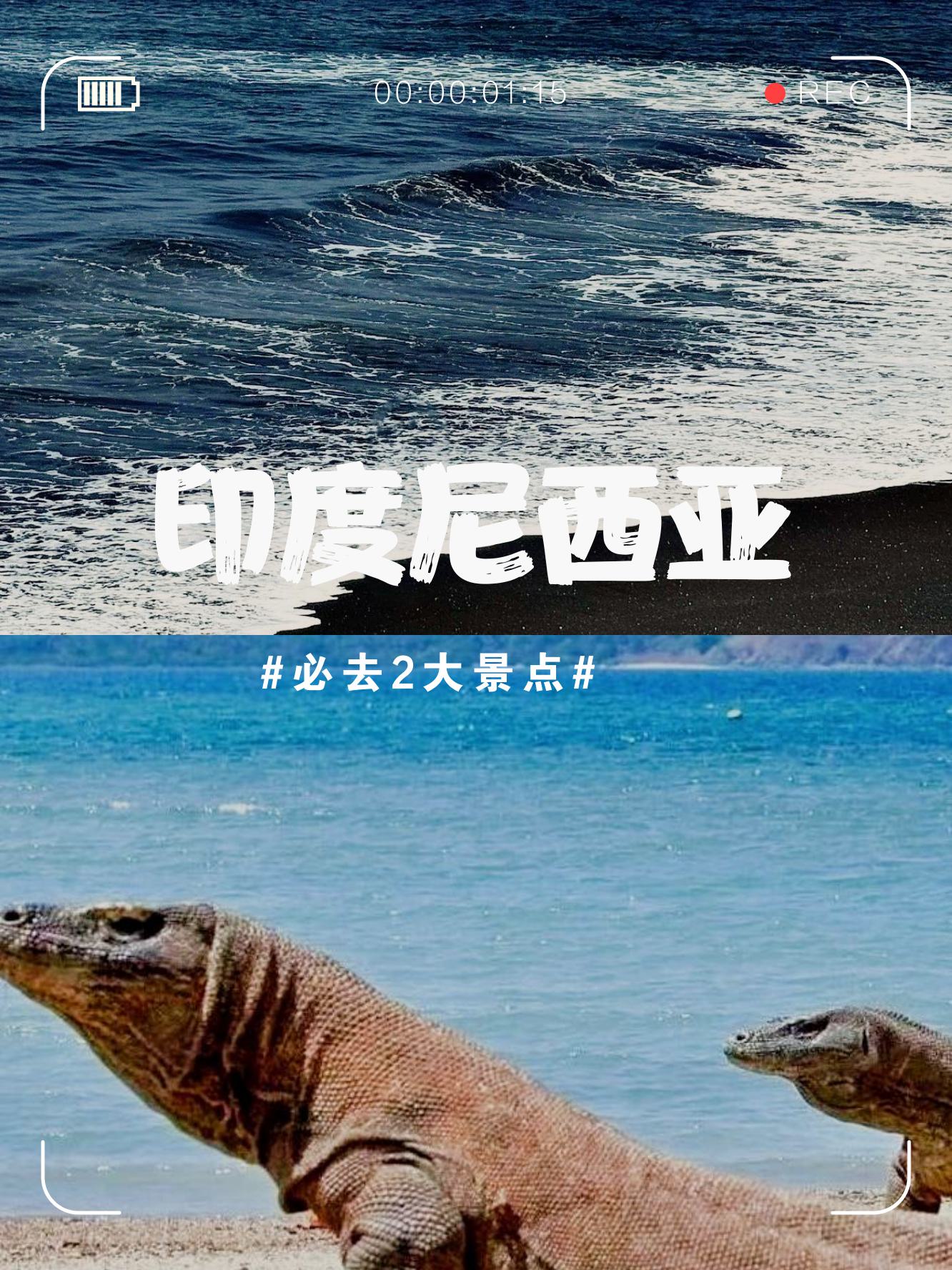 凌晨三点播放的神秘视频——探索与发现-第2张图片