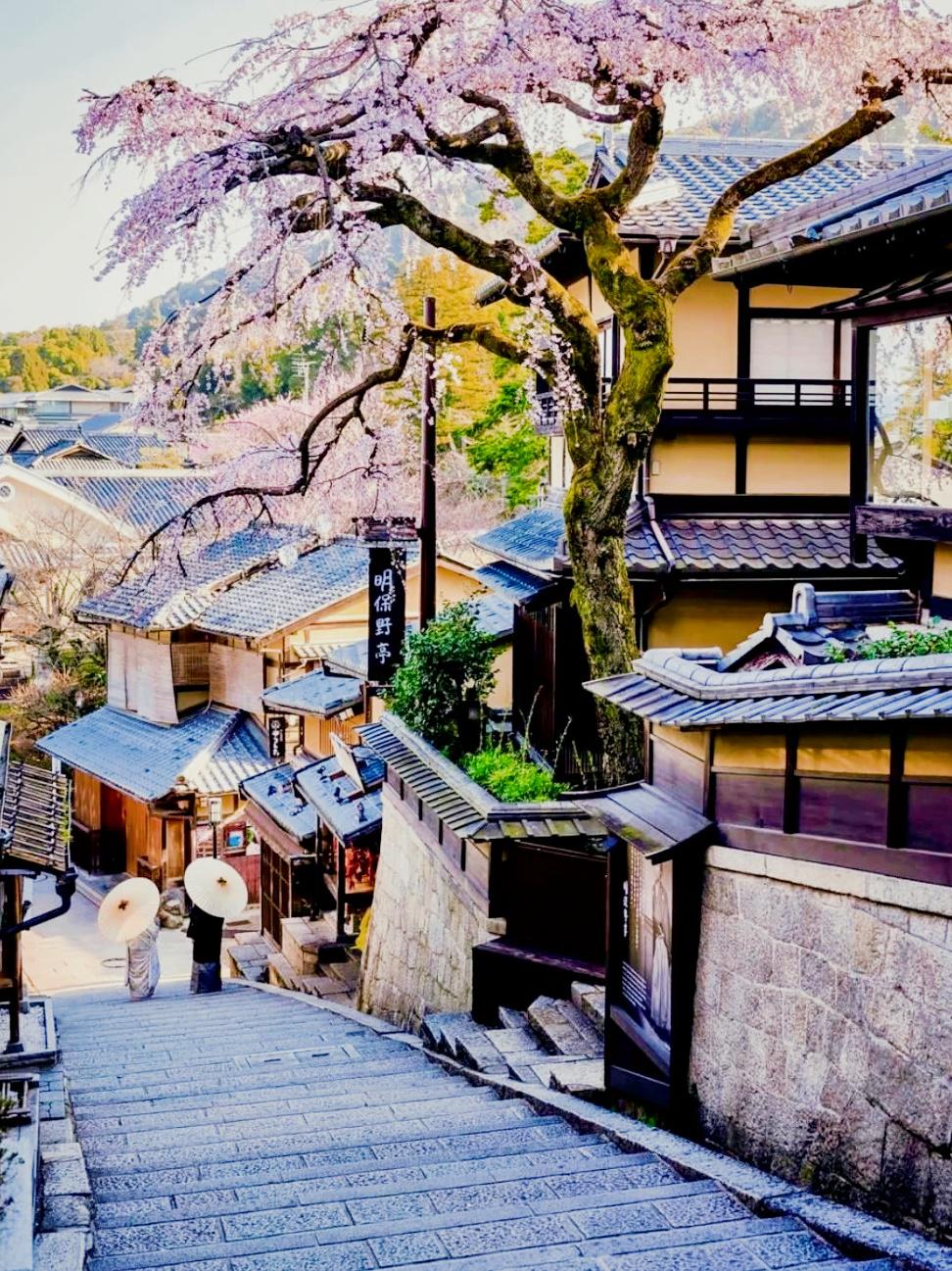japanesevideos中文tm探索日本文化，日本视频的魅力与中文TM的奥秘-第2张图片
