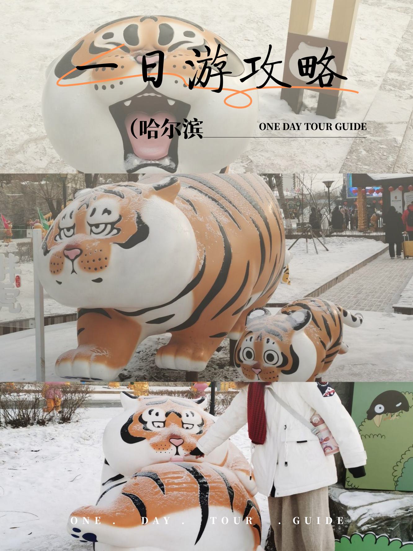 啦啦啦！探索中文、日本、韩国免费文化魅力之旅-第3张图片