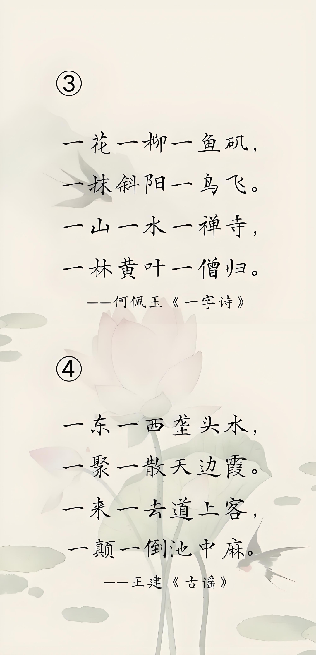 半脱莲房露压欹的读音半脱莲房露压欹的美丽与哀愁-第2张图片