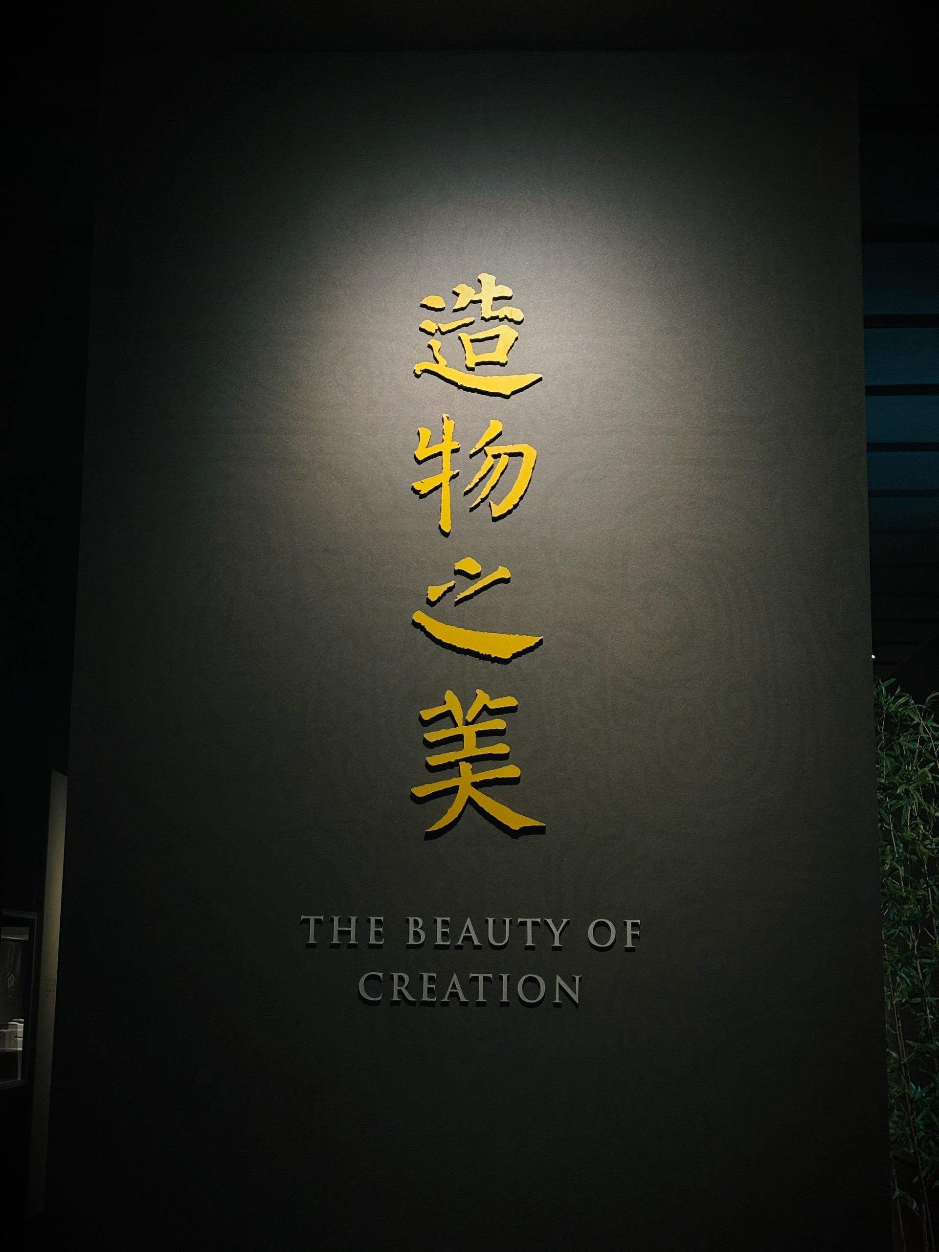 日韩一卡二卡三卡四卡国色天香，文化交流与艺术盛宴的深度解析-第3张图片