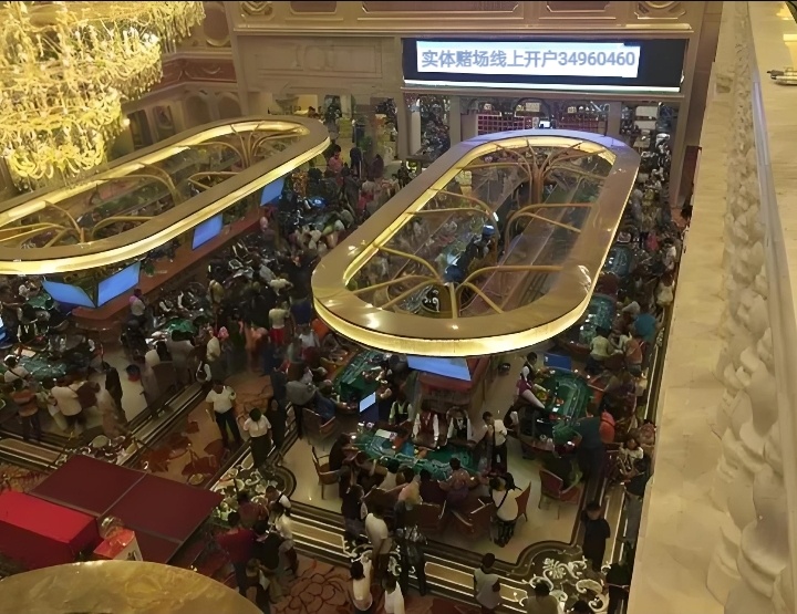在线天堂免费观看.WWW在线天堂免费观看，探索无尽的娱乐世界-第2张图片