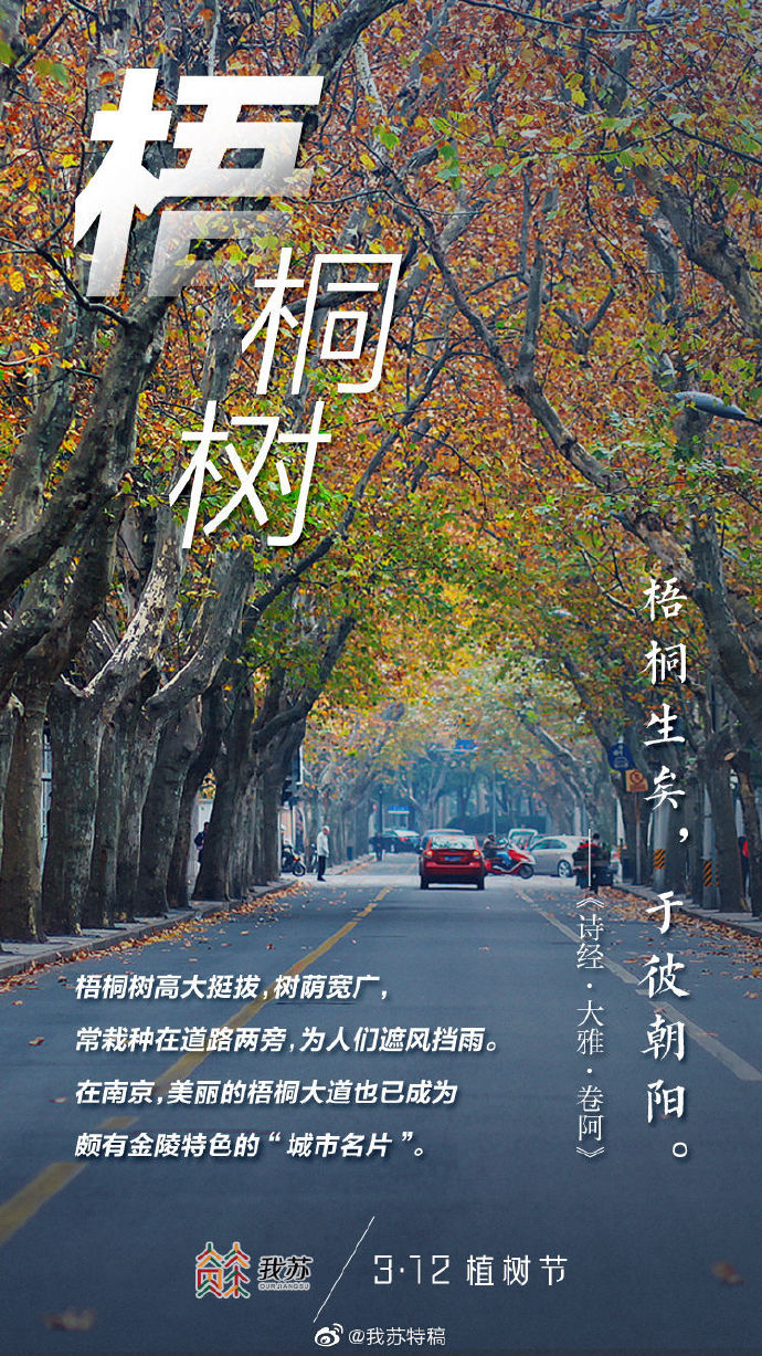 含玉shi的小说以写意含玉为线索，探寻生活的美好与诗意