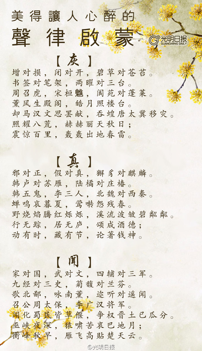 草名的意思草名之韵，自然的诗篇-第2张图片