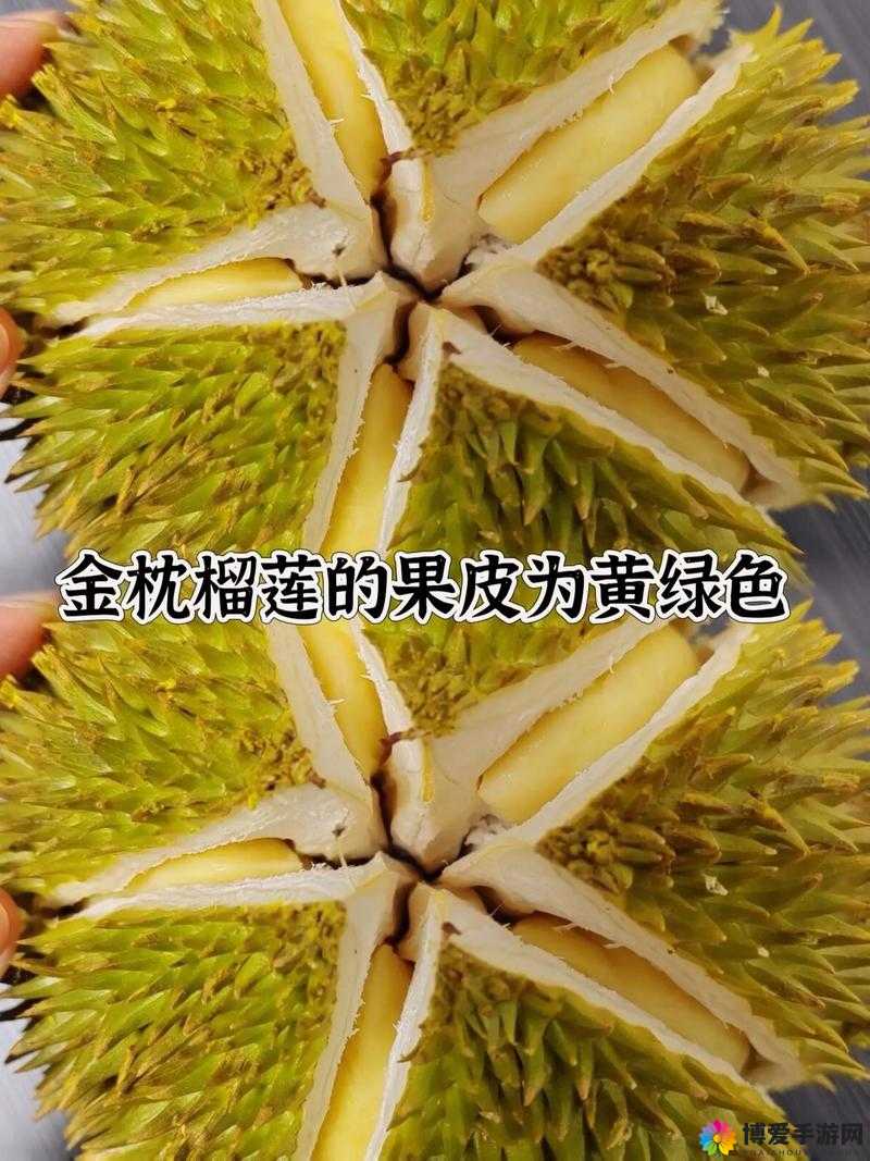 探索多彩的水果世界——香蕉、榴莲、秋葵与绿巨人的奇妙之旅-第2张图片