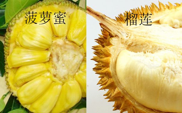 菠萝蜜app网站菠萝蜜app网站，探索未知的数字世界之旅-第1张图片