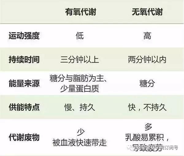 运动过后拉伸的重要性——从蚂蚁庄园的启示说起-第3张图片