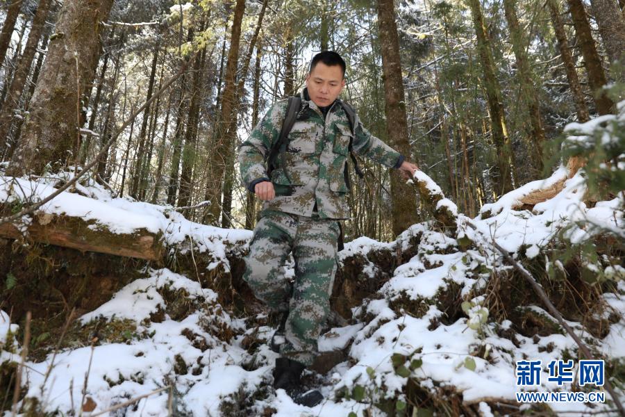 军警同志军警同志，守护家园的英勇力量