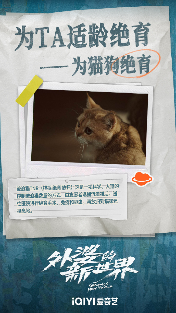 小喵直播APP，开启你的直播新世界——在线下载，即刻体验