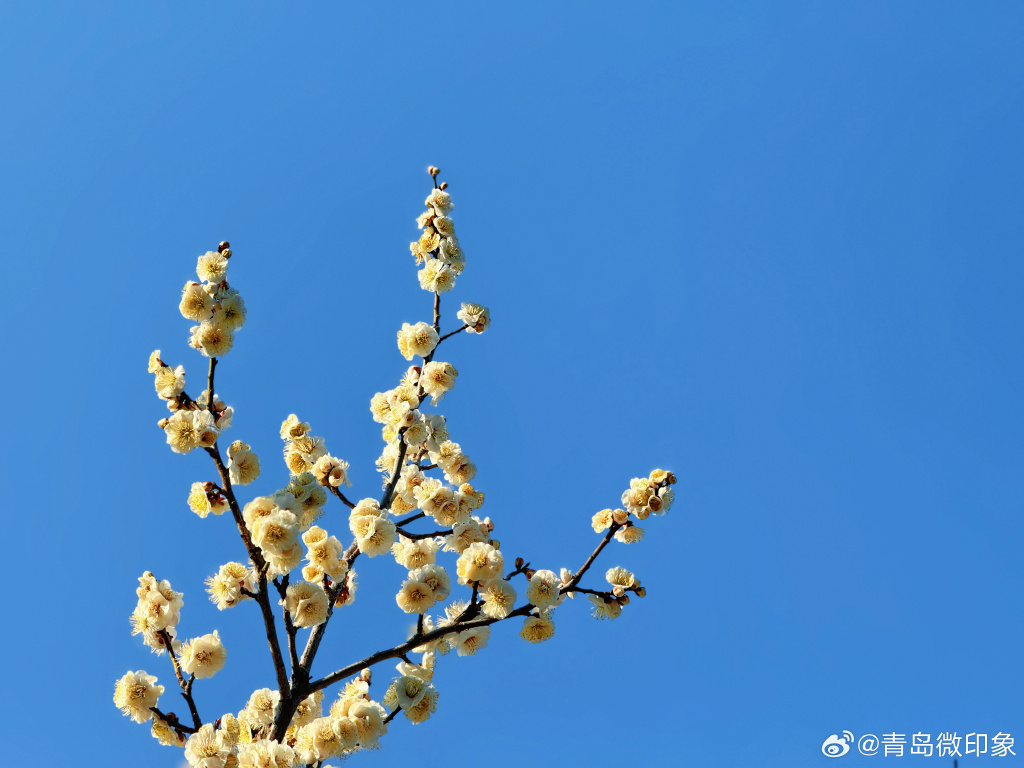 春暖花开，色吧有你-第2张图片
