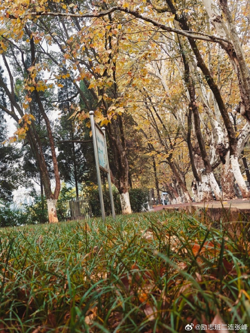 晚秋mp4下载晚秋MP4下载，感受秋天的韵味-第2张图片