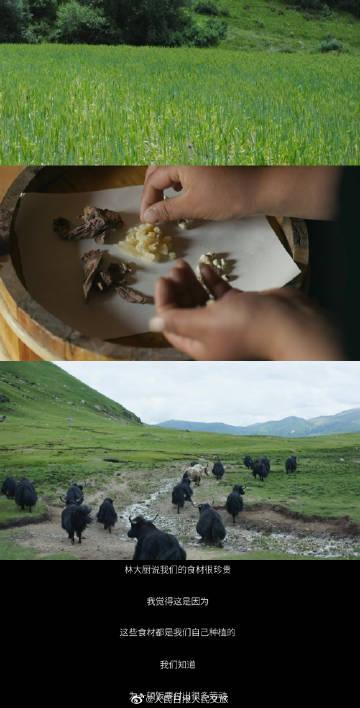 德吉才让聊天记录PDF德吉才让聊天记录，一段珍贵的交流记录-第2张图片