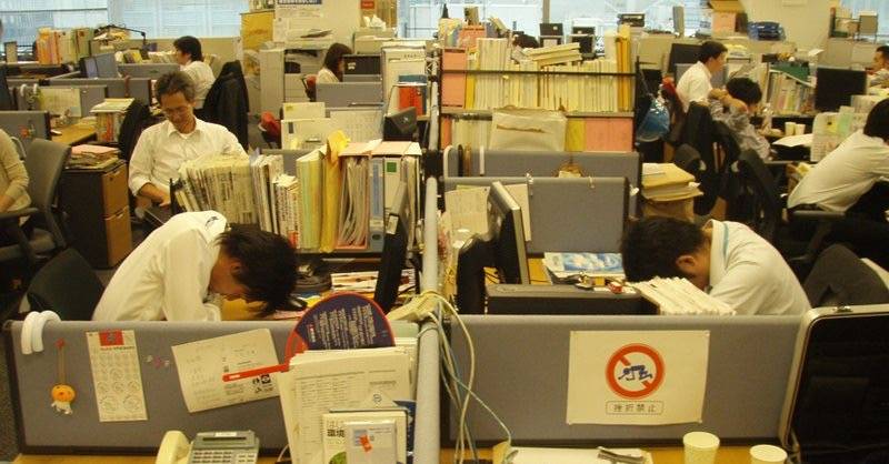 内衣办公室——日本动漫的独特魅力，免费观看的乐趣体验-第2张图片