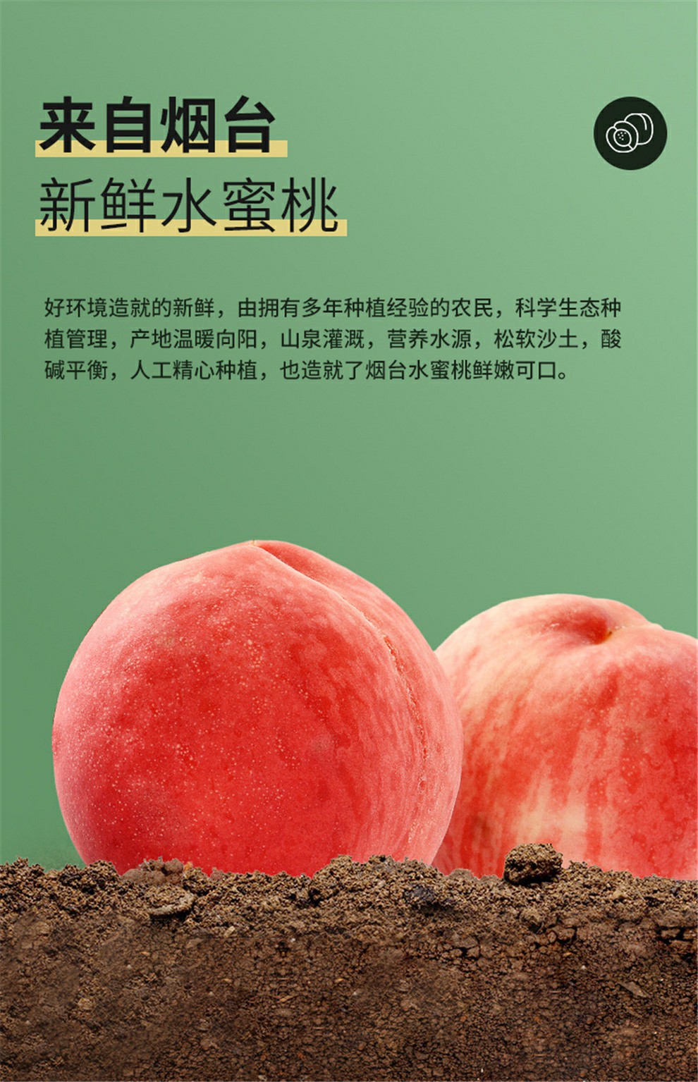 水蜜桃视频在线播放下载水蜜桃视频，在线播放与下载体验-第3张图片