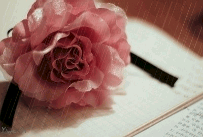 雨后故事三部曲——动态图中的情感与变化-第1张图片