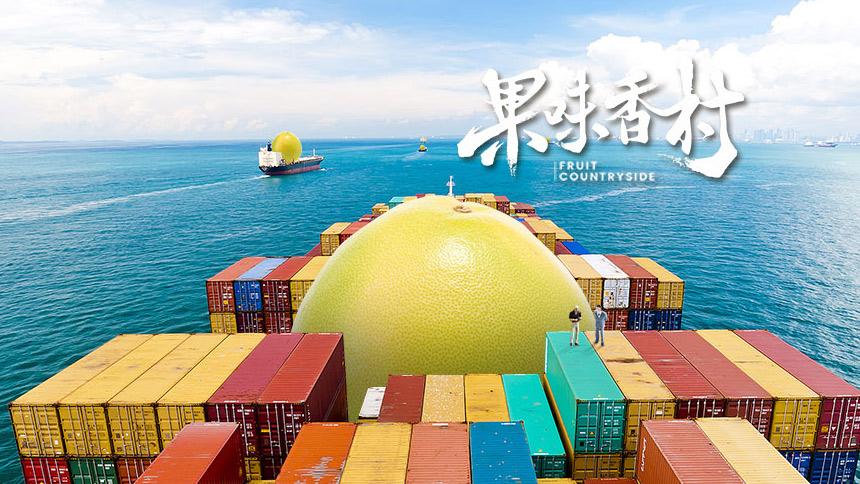 蜜柚在线观看版高清免费视频网站蜜柚在线观看版高清免费视频，探索网络影视新体验-第3张图片