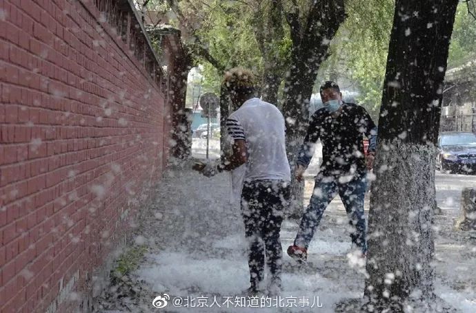 没带罩子让他c了一节语文课意外中的一课，未带罩子的尴尬与成长-第1张图片
