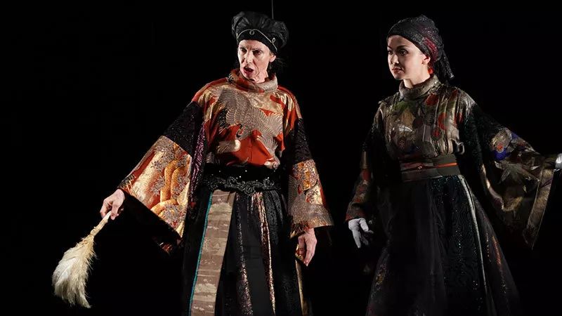 姐妹共演最初姐妹共演，情感与才华的舞台碰撞-第1张图片